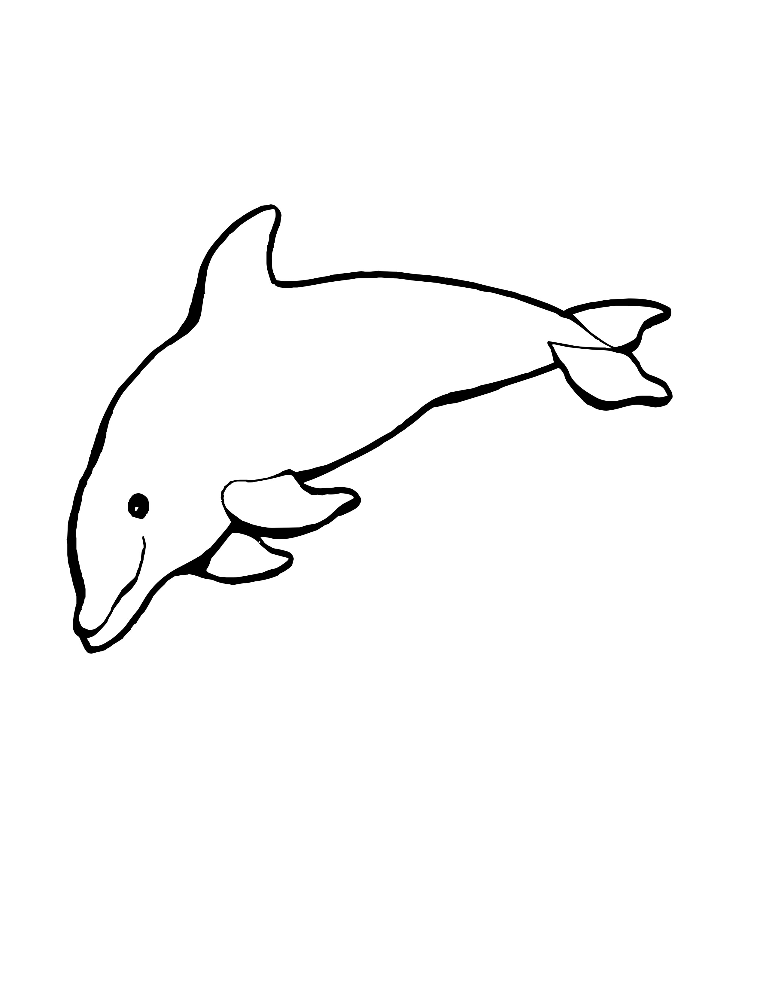 Dolphin Coloring Pages