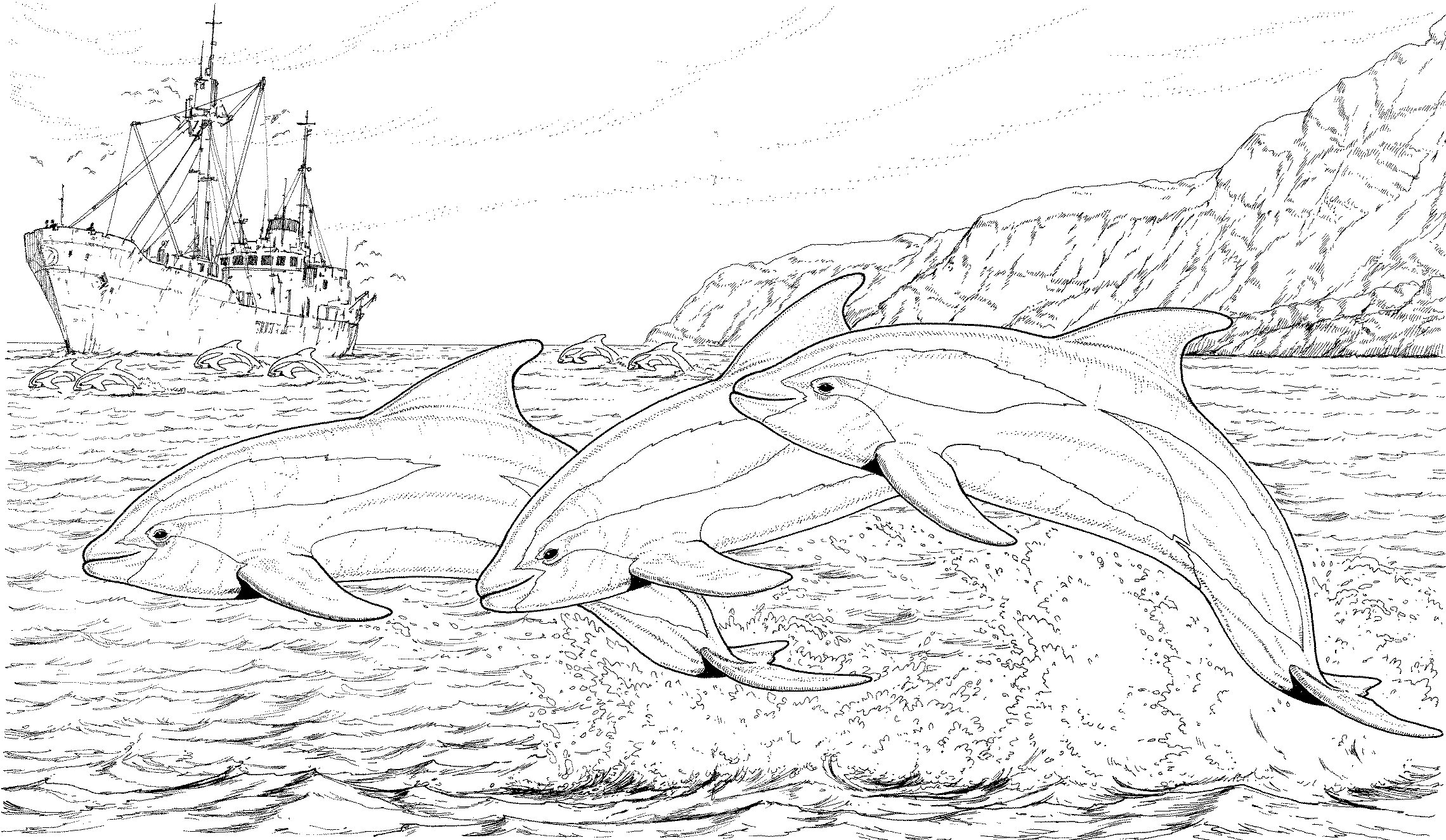 Coloring Pages Of Dolphins And Whales Dolphin Coloring Pages